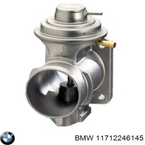 Compre 11712246145 BMW Válvula EGR de recirculação dos gases