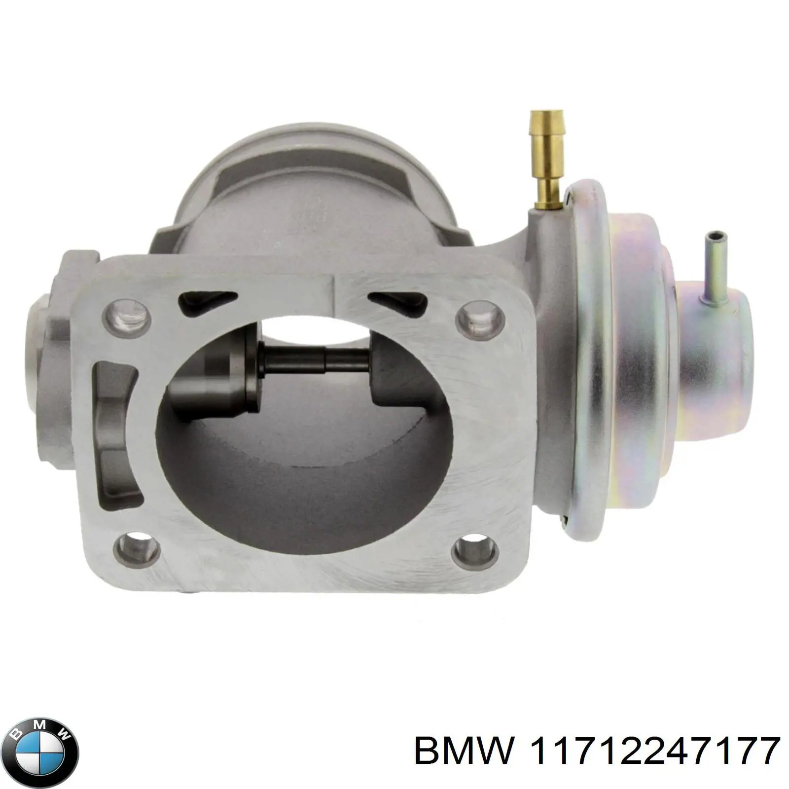 Compre 11712247177 BMW Válvula EGR de recirculação dos gases