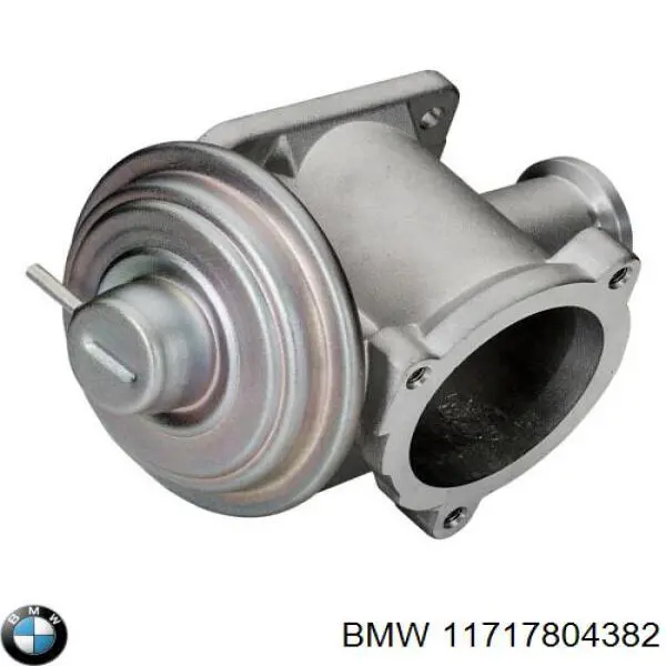 Compre 11717804382 BMW Válvula EGR de recirculação dos gases