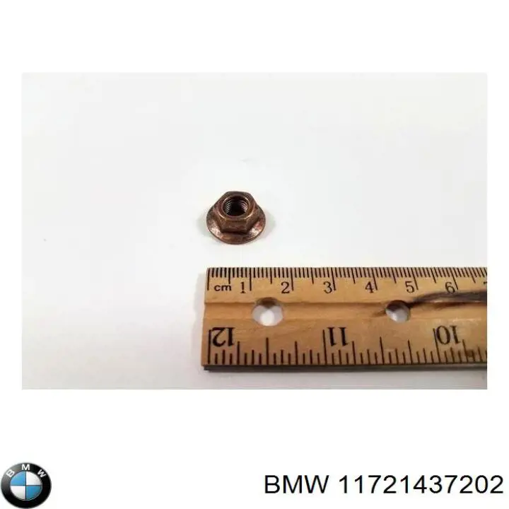 Compre 11721437202 BMW Porca de fixação de tubo de admissão do silenciador (de calças)