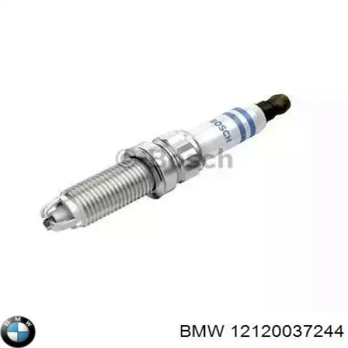 12120037244 BMW Vela de ignição