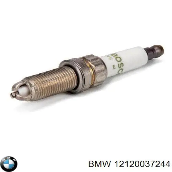 Compre 12120037244 BMW Vela de ignição