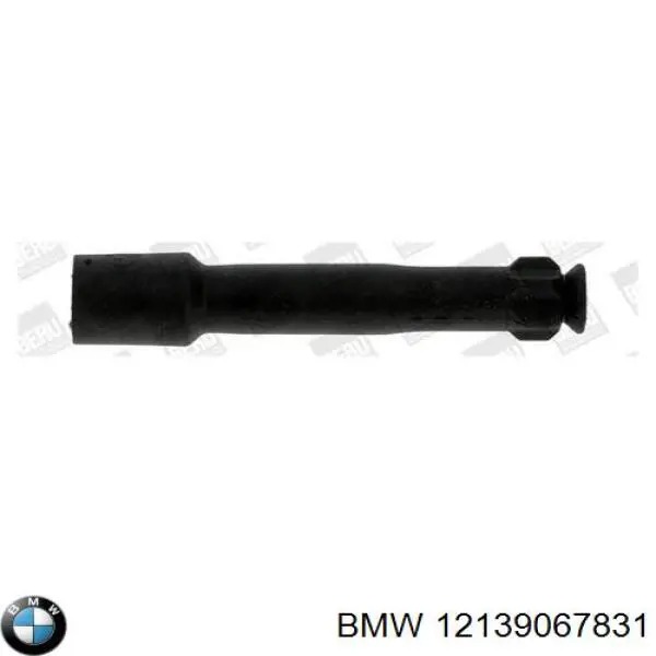 Compre 12139067831 BMW Ponta da vela de ignição