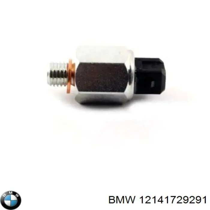 Compre 12141729291 BMW Sensor de posição da árvore distribuidora
