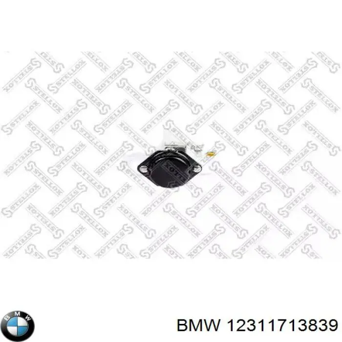 Compre 12311713839 BMW Relê-regulador do gerador (relê de carregamento)