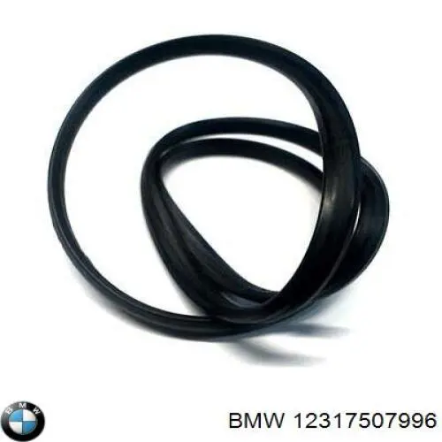 Vedante (anel) do gerador com esfriamento por água BMW 12317507996 preço, a partir de 28,27 USD