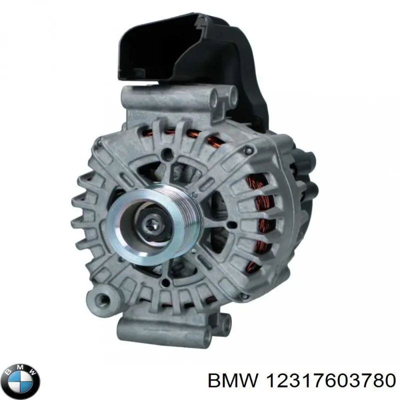 12317603780 BMW Gerador