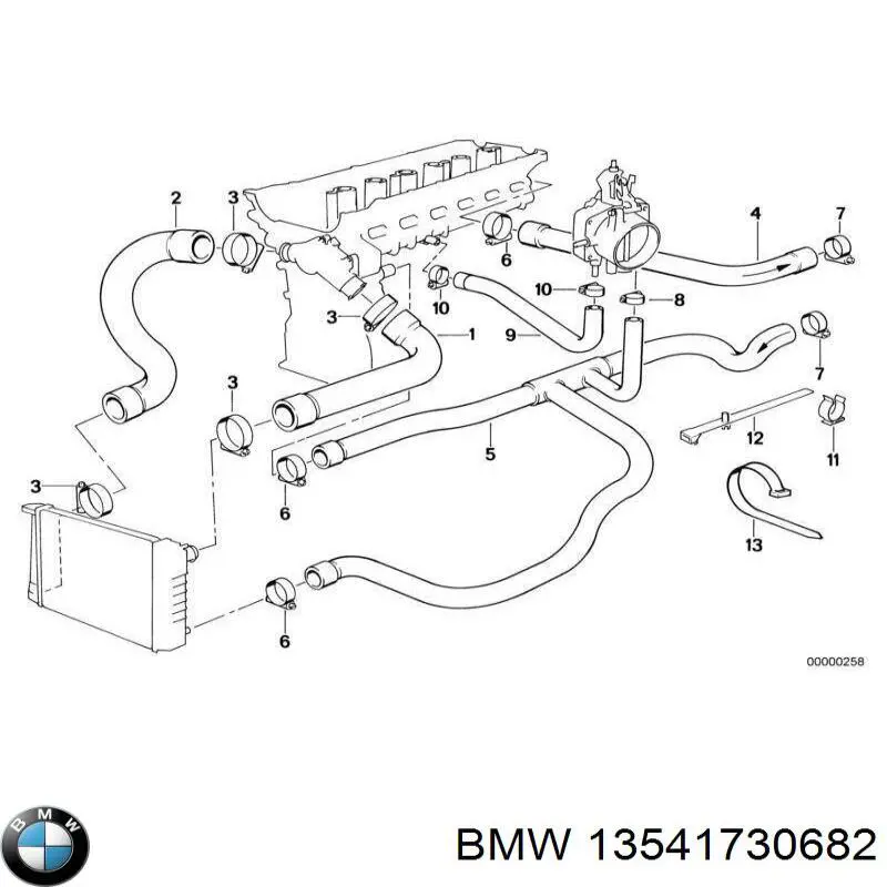 13541730682 BMW Termostato adicional