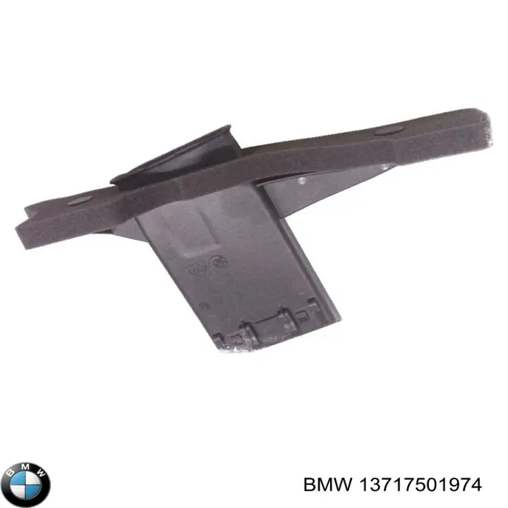 Compre 13717501974 BMW Tomada de ar de filtro de ar