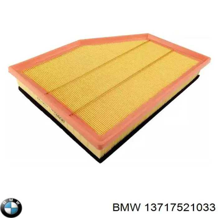 13717521033 BMW Filtro de ar