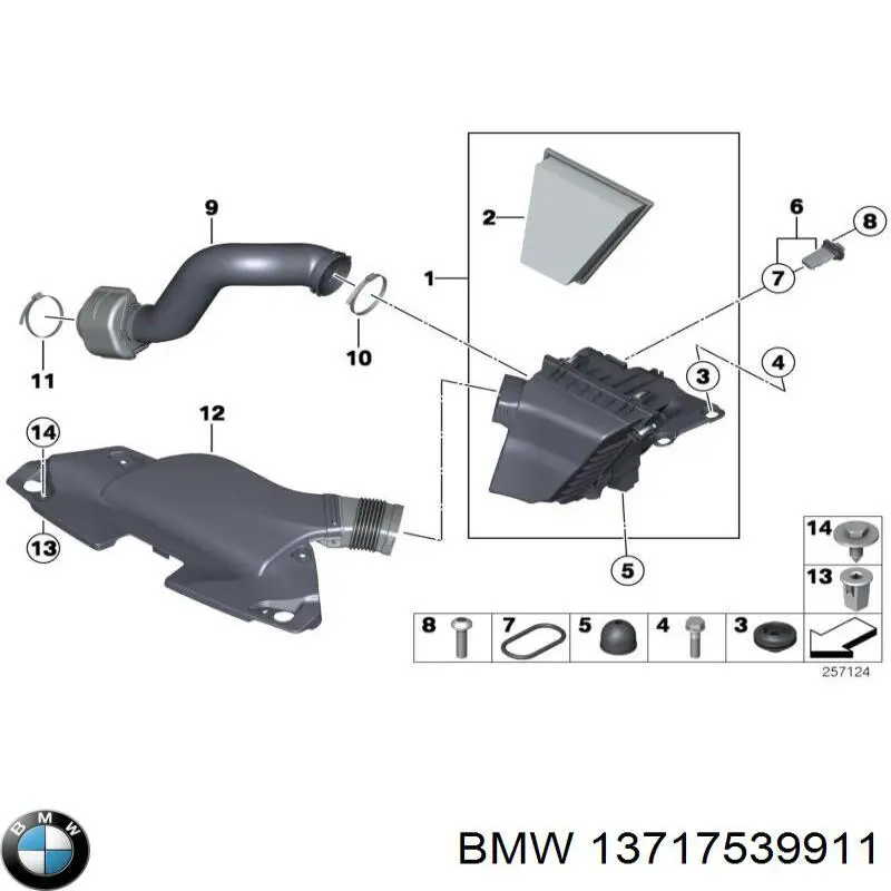 13717539911 BMW Anel (arruela) do injetor de ajuste