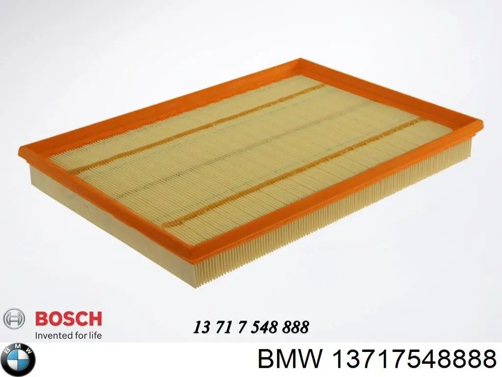 13717548888 BMW Filtro de ar
