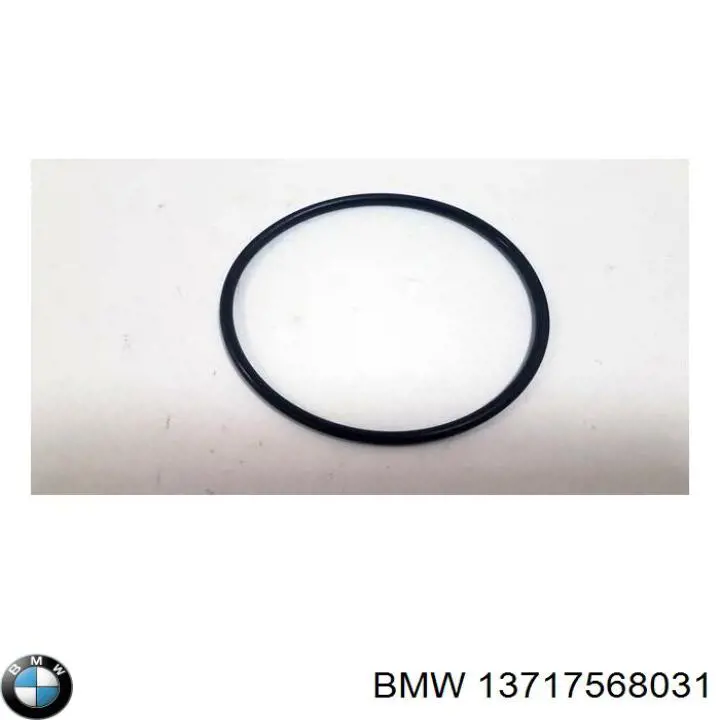 13717568031 BMW Anel de vedação (vedante) de cano derivado de intercooler
