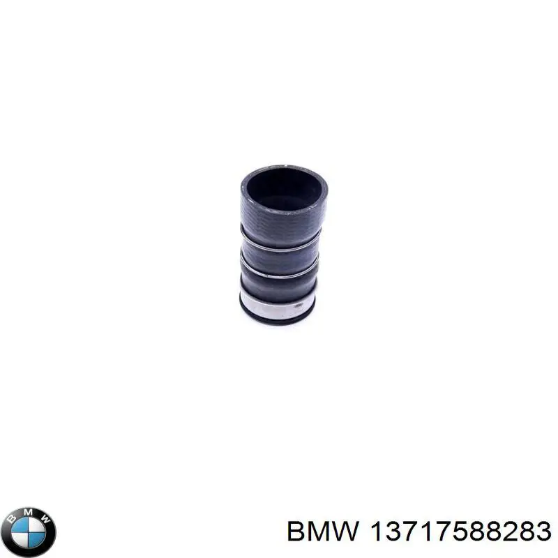 Compre 13717588283 BMW Mangueira (cano derivado) de intercooler