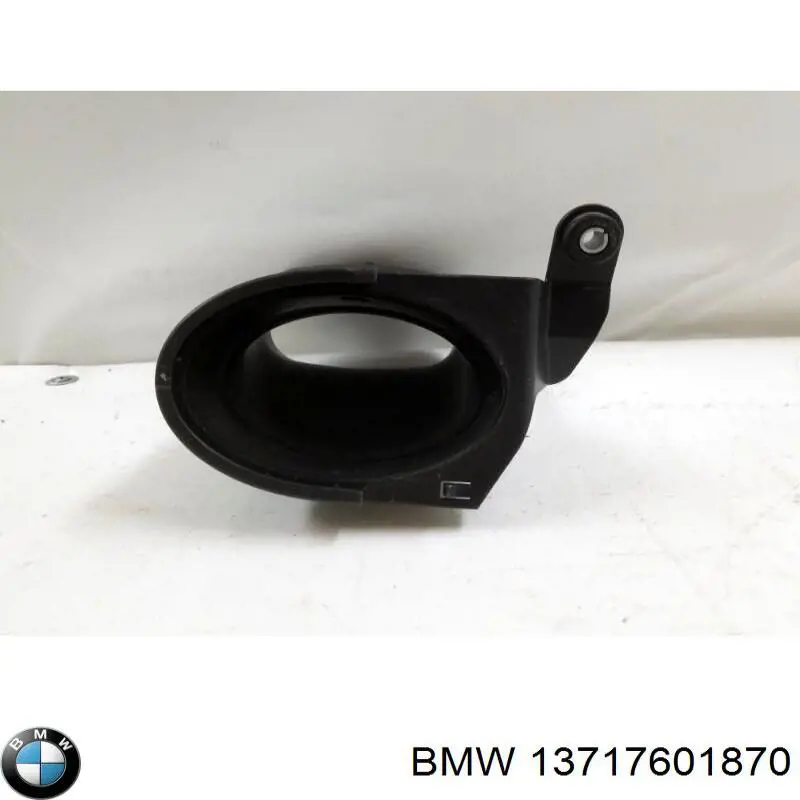 Compre 13717601870 BMW Cano derivado de ar, entrada de filtro de ar