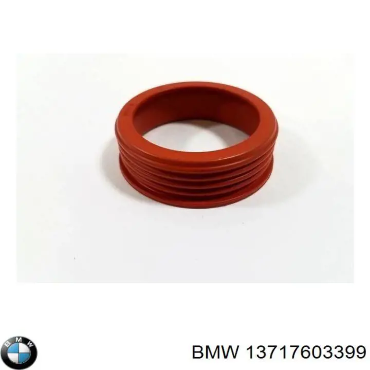 Compre 13717603399 BMW 
