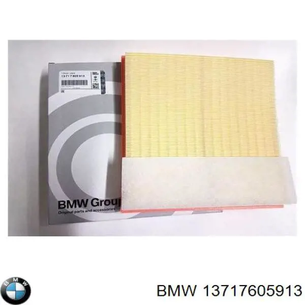 13717605913 BMW Filtro de ar