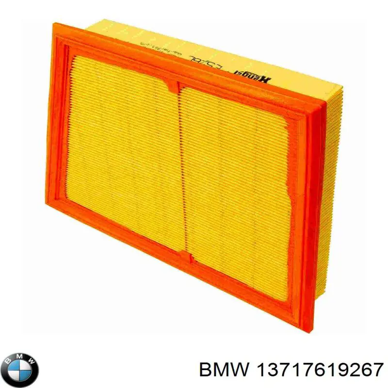 13717619267 BMW Filtro de ar