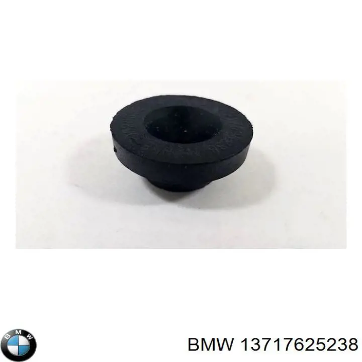 13717625238 BMW Coxim de caixa de filtro de ar