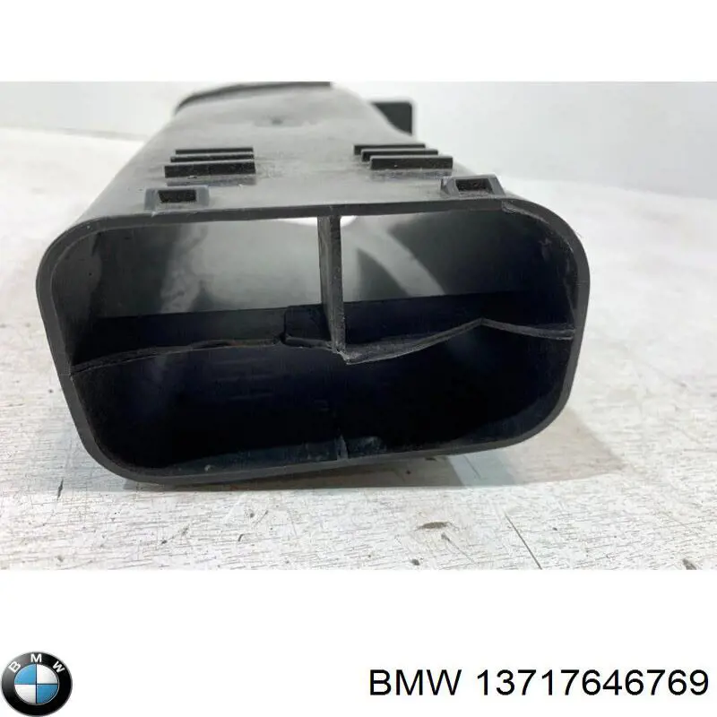 Compre 13717646769 BMW Cano derivado de ar, entrada de filtro de ar