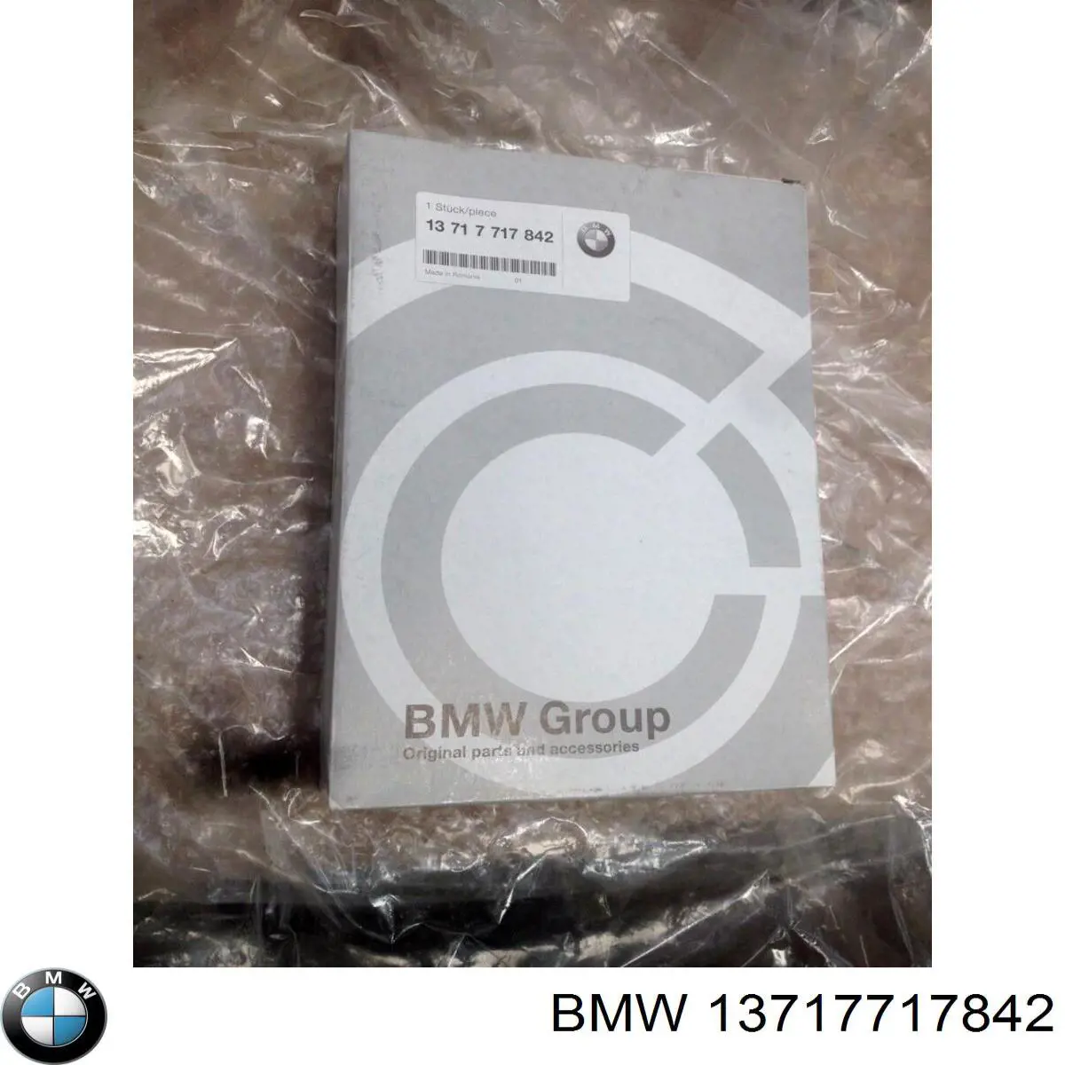 13717717842 BMW Filtro de ar