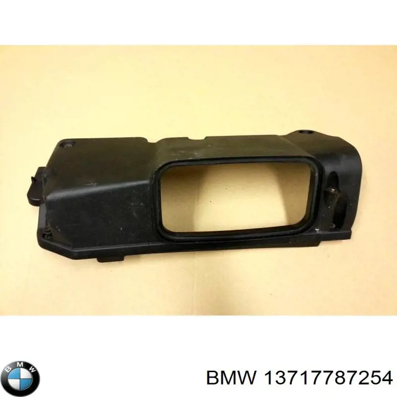 Compre 13717787254 BMW Tampa de motor decorativa
