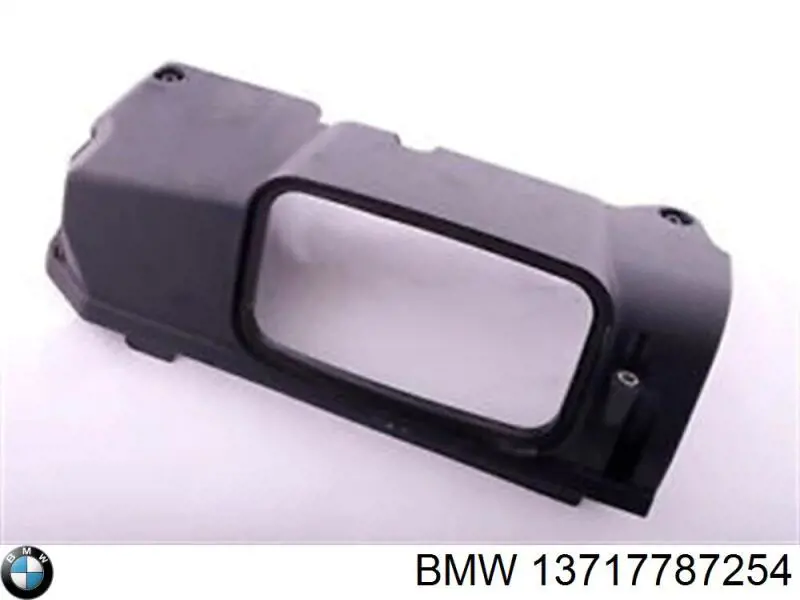 13717787254 BMW Tampa de motor decorativa