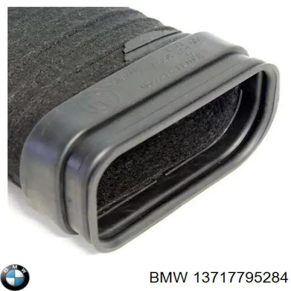 13717795284 BMW Cano derivado de ar, entrada de filtro de ar