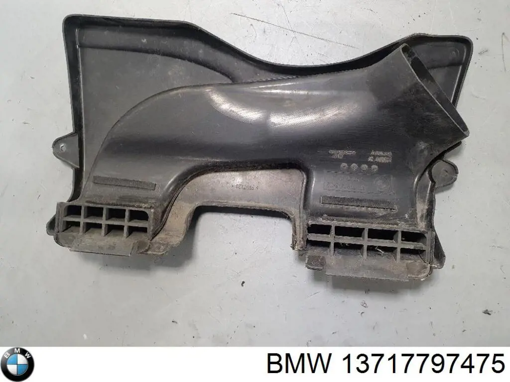 13717797475 BMW Tampa de motor decorativa