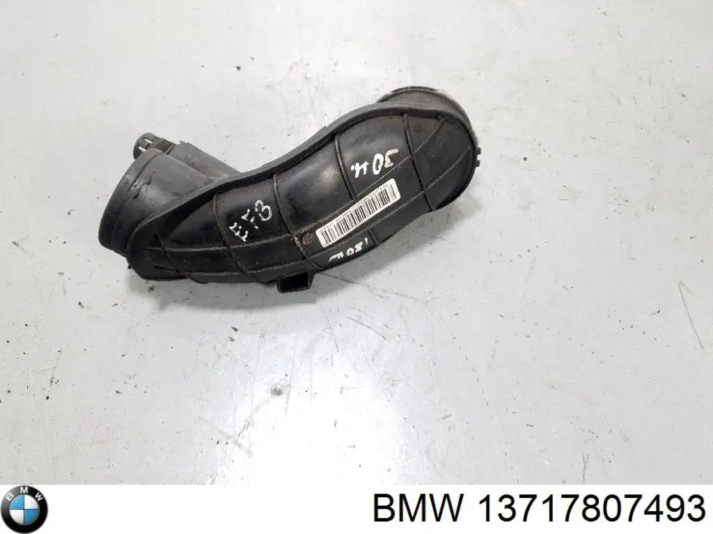 Compre 13717807493 BMW 