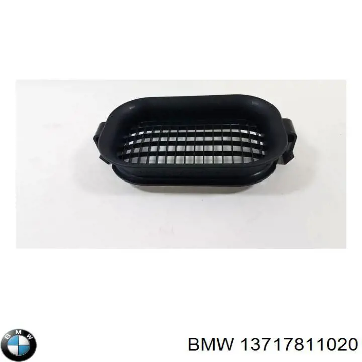 13717811020 BMW Tomada de ar de filtro de ar
