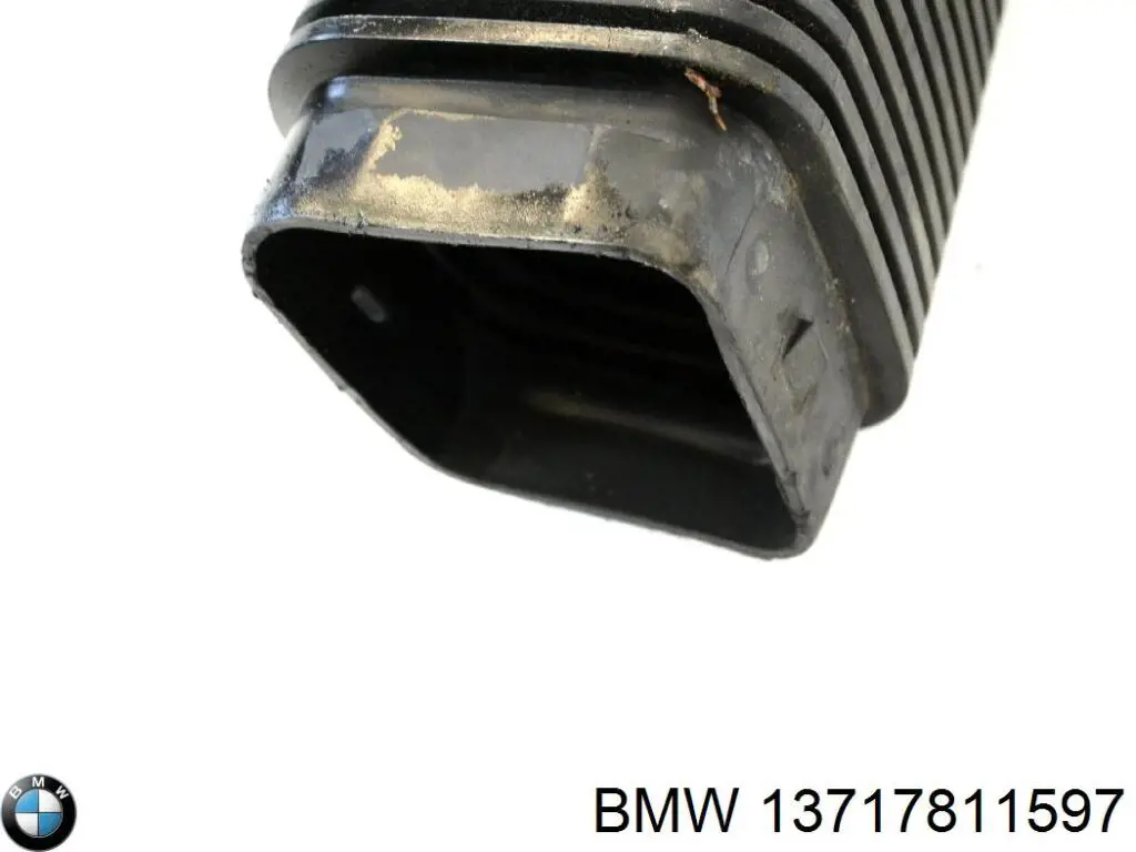 Compre 13717811597 BMW Cano derivado de ar, entrada de filtro de ar