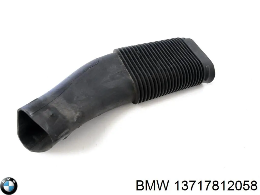 13717812058 BMW Tomada de ar de filtro de ar