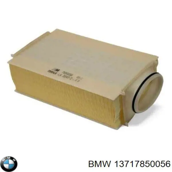 13717850056 BMW Filtro de ar