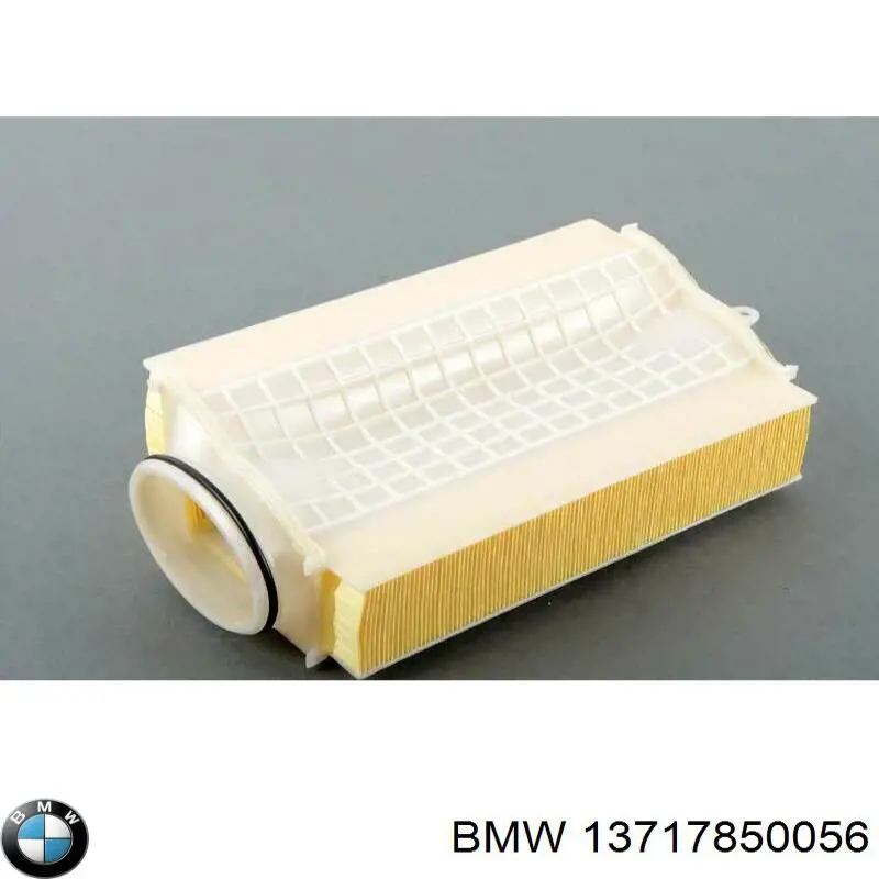 Compre 13717850056 BMW Filtro de ar