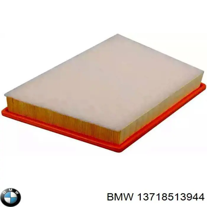 13718513944 BMW Filtro de ar