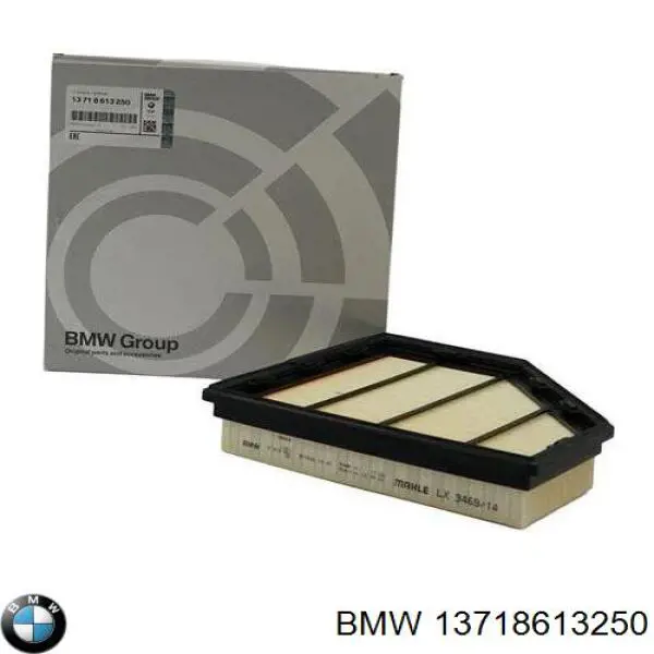 13718613250 BMW Filtro de ar
