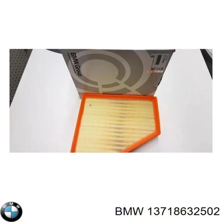 13718632502 BMW Filtro de ar