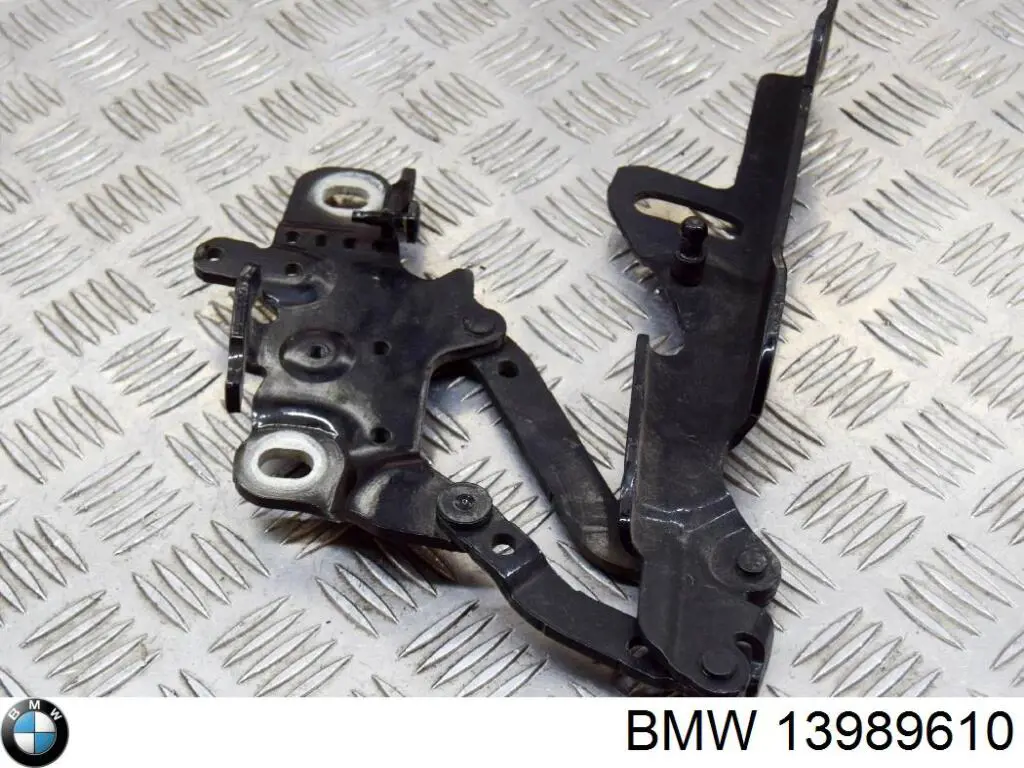 Compre 13989610 BMW Gozno da capota esquerdo