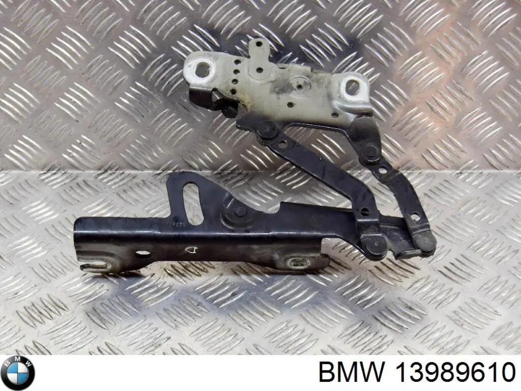 13989610 BMW Gozno da capota esquerdo