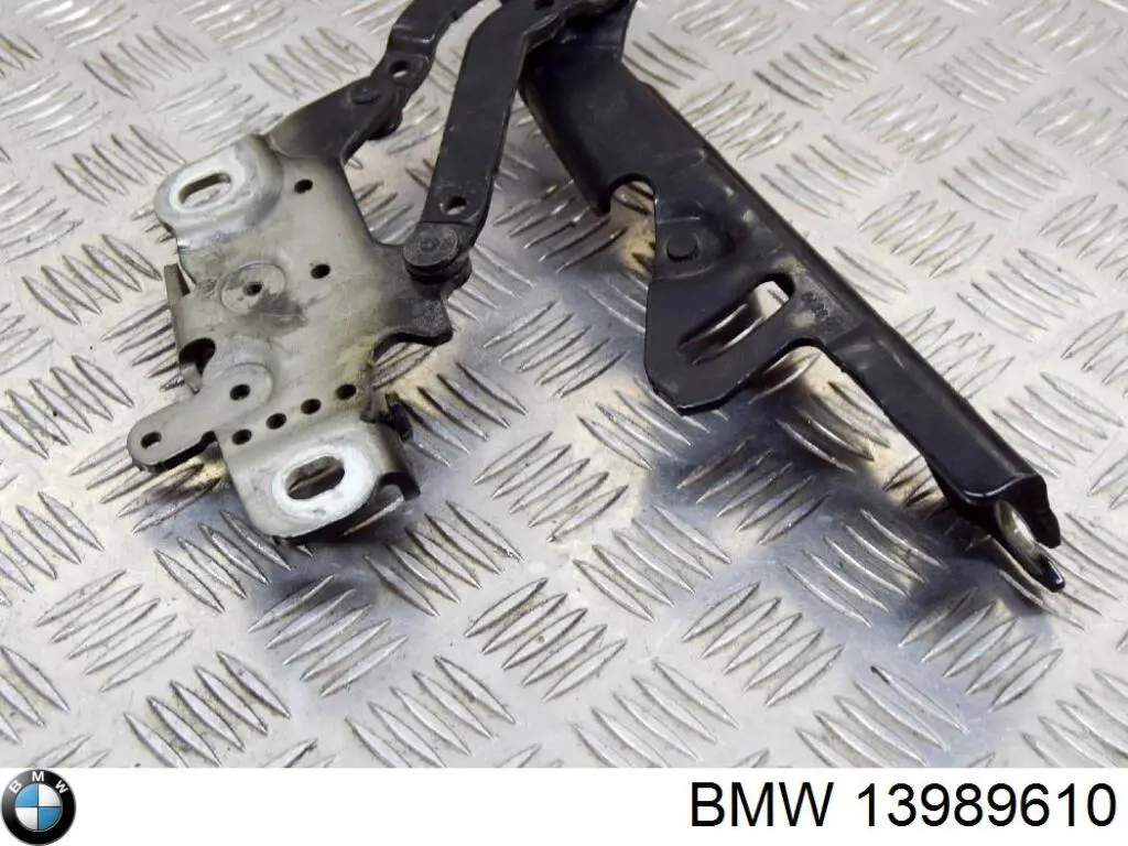 Compre 13989610 BMW Gozno da capota esquerdo
