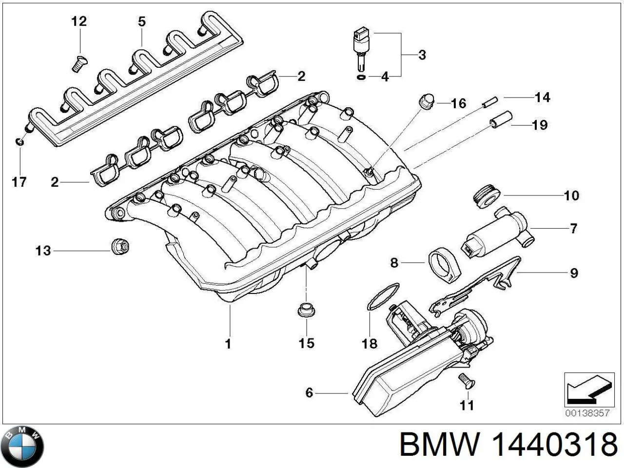 1440318 BMW Cano derivado de ventilação de cárter (de separador de óleo)