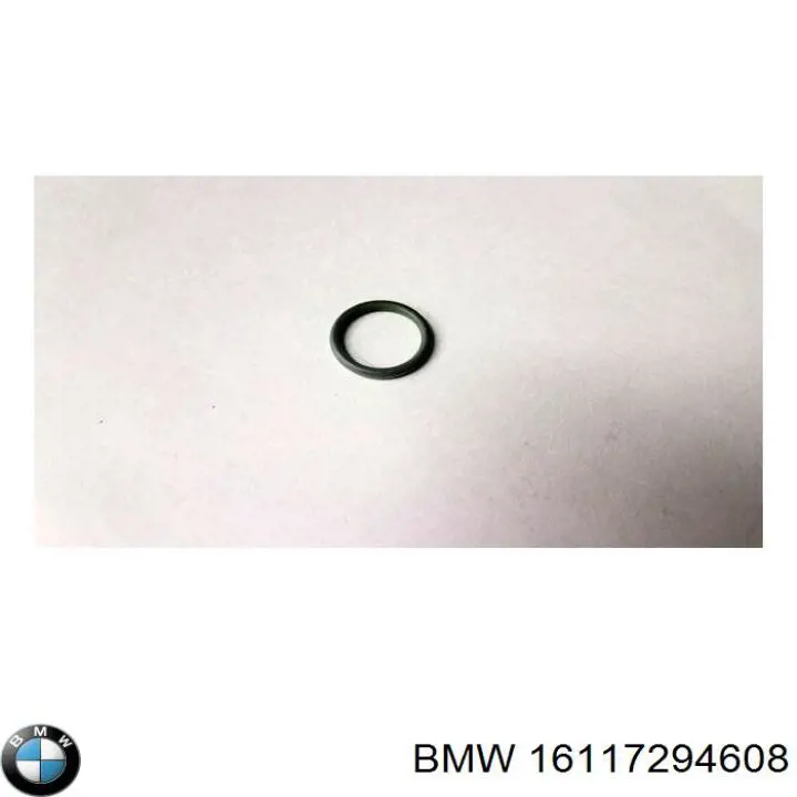 Compre 16117294608 BMW Tanque de combustível