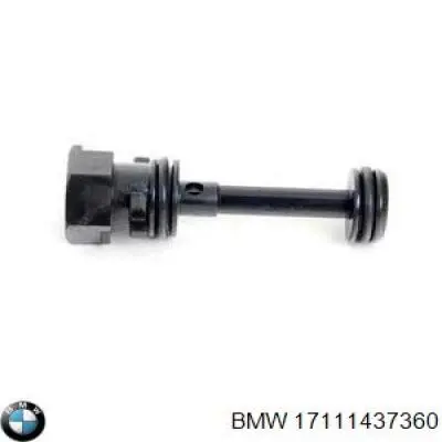 Compre 17111437360 BMW Válvula de eliminação de ar do sistema de esfriamento