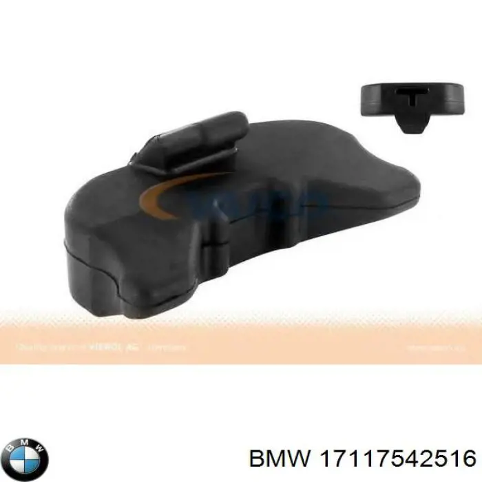 17117542516 BMW Suporte inferior do radiador (painel de montagem de fixação das luzes)