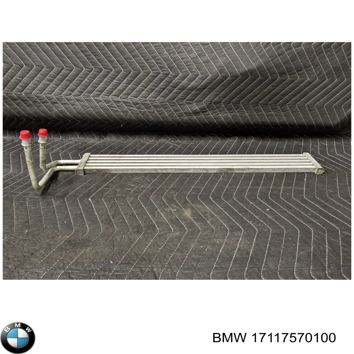 17117570100 BMW Radiador da Direção hidrâulica assistida