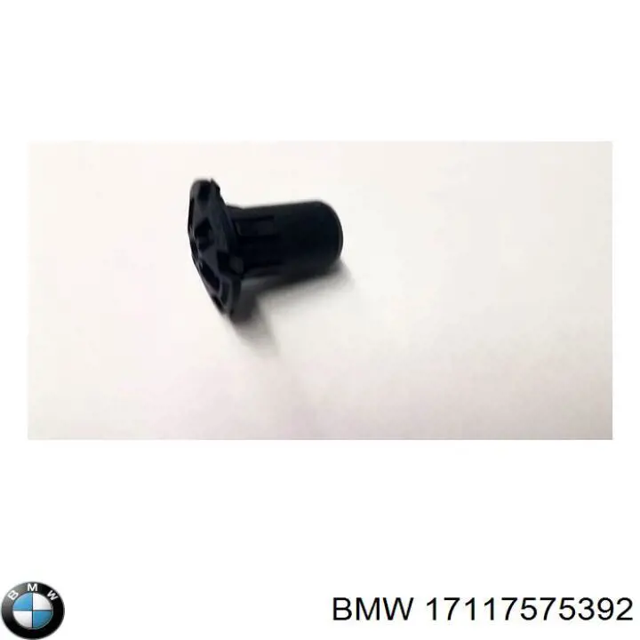 17117575392 BMW Válvula de evacuação do radiador de esfriamento