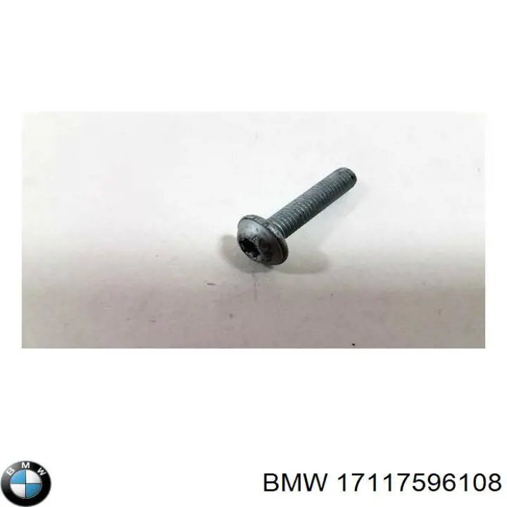 17117596108 BMW 