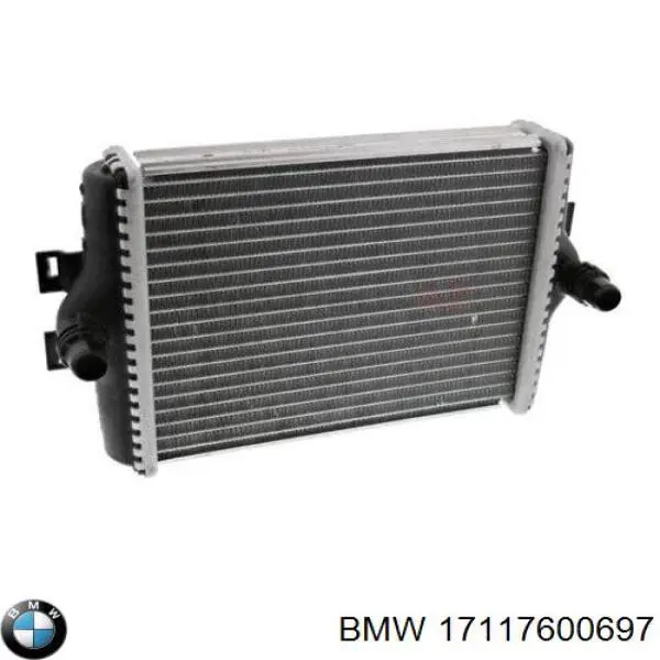 17117600697 BMW Radiador de esfriamento de motor adicional