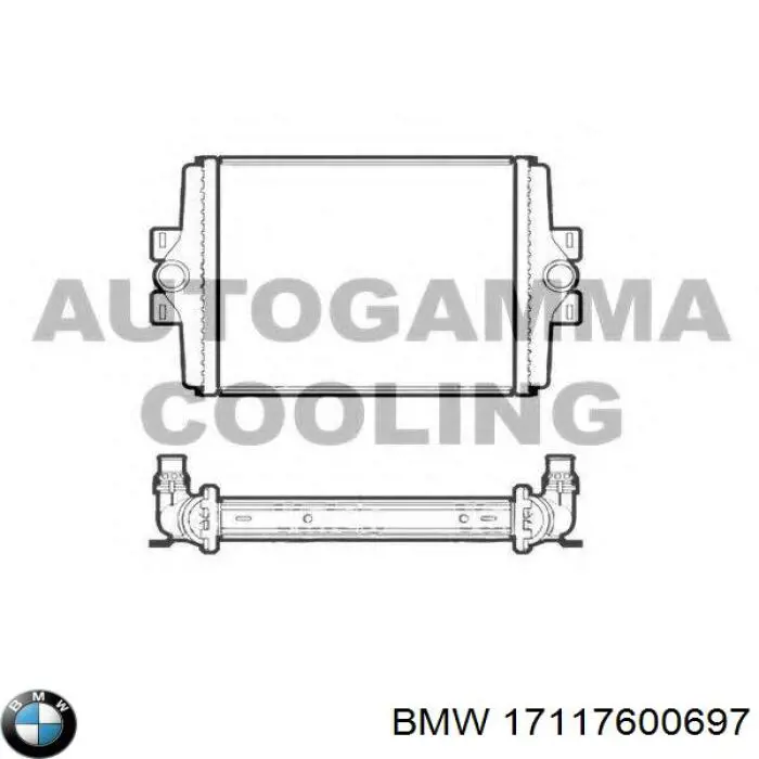 Compre 17117600697 BMW Radiador de esfriamento de motor adicional